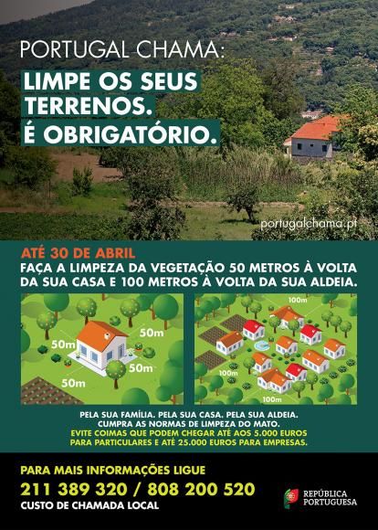 Limpeza dos Terrenos