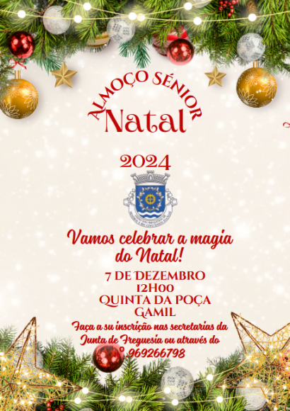 Almo&ccedil;o de Natal S&eacute;nior 2024