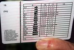 Renova&ccedil;&atilde;o de Carta de Condu&ccedil;&atilde;o