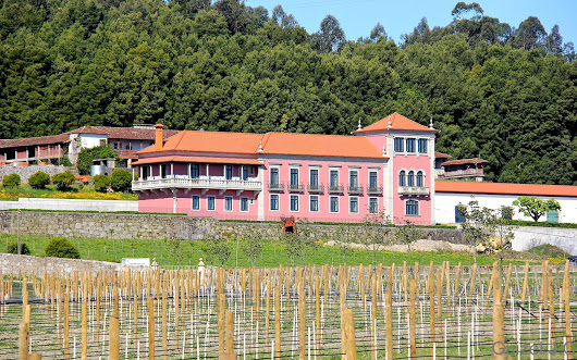 Sociedade Agr&iacute;cola - Quinta de Vila Me&atilde;, Lda