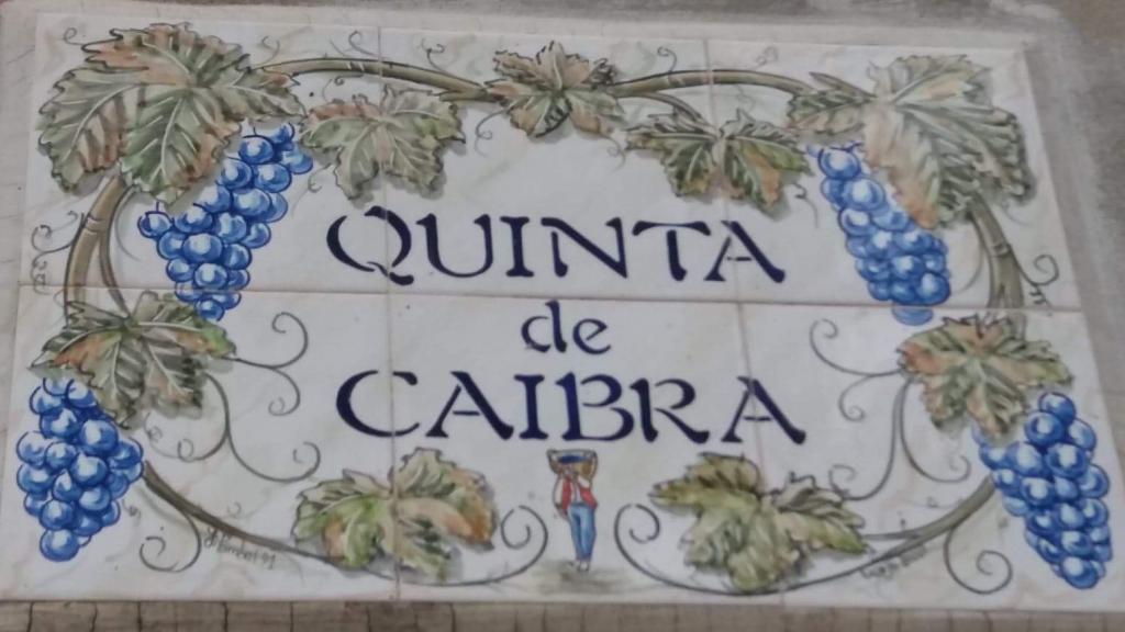 Jovens Empres&aacute;rios Agr&iacute;colas Nunes Garcia Lda 